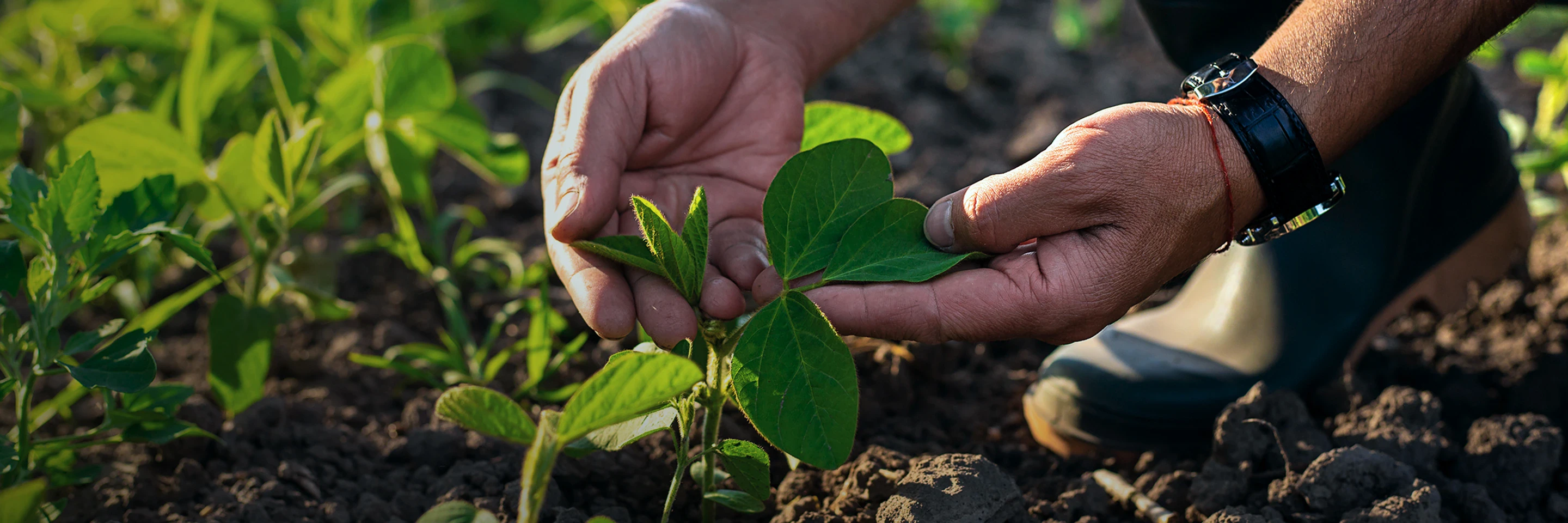 Environment Dimension