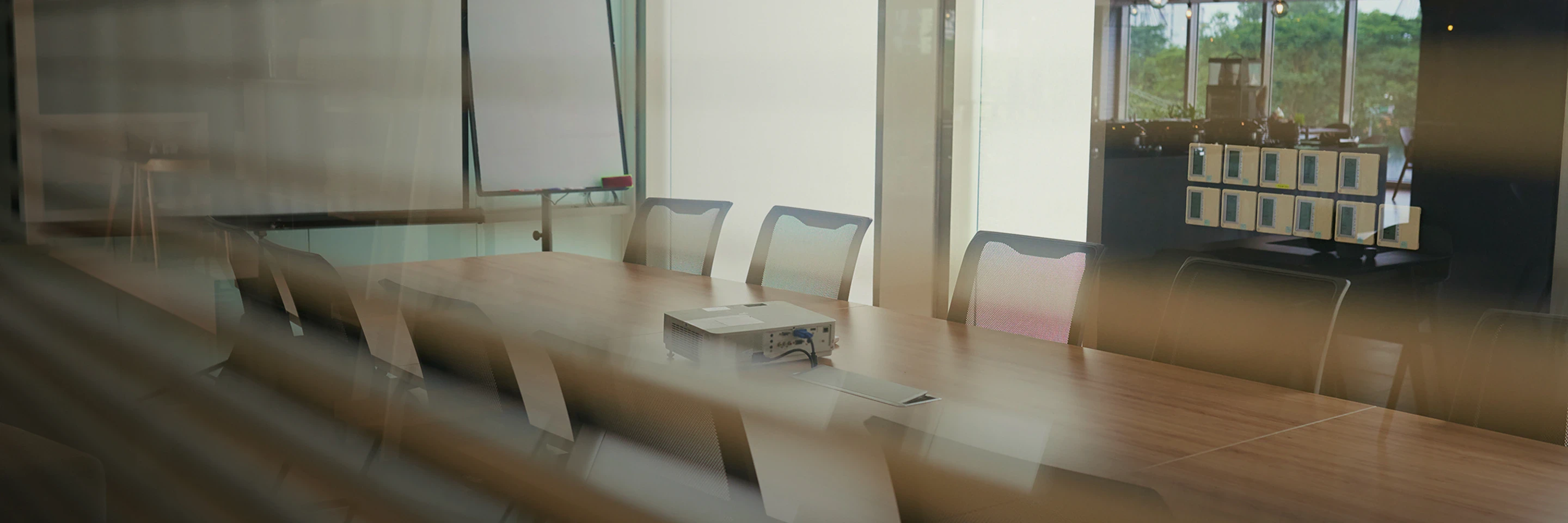 Dividend Information