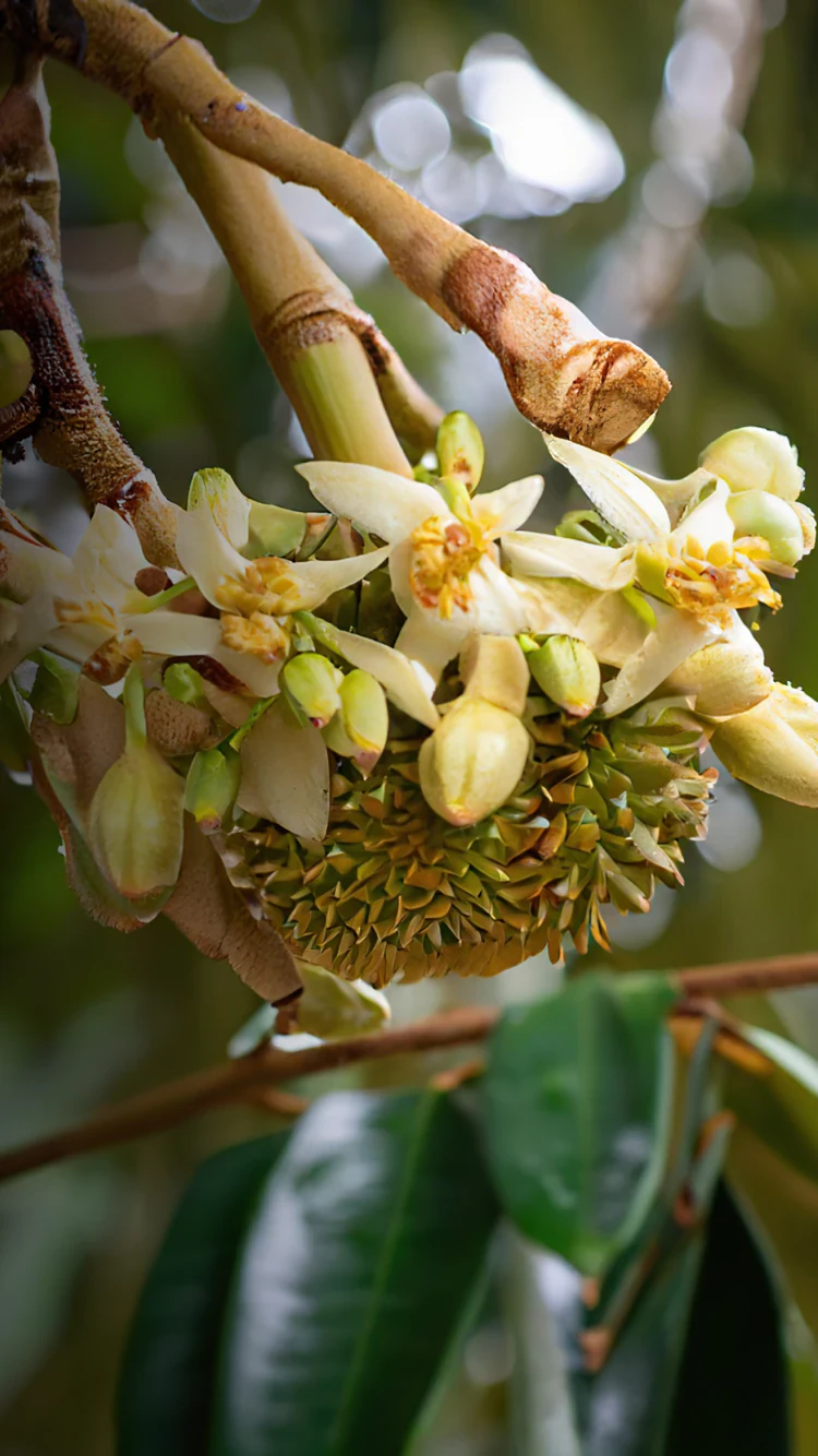 เรื่องราวของเรา