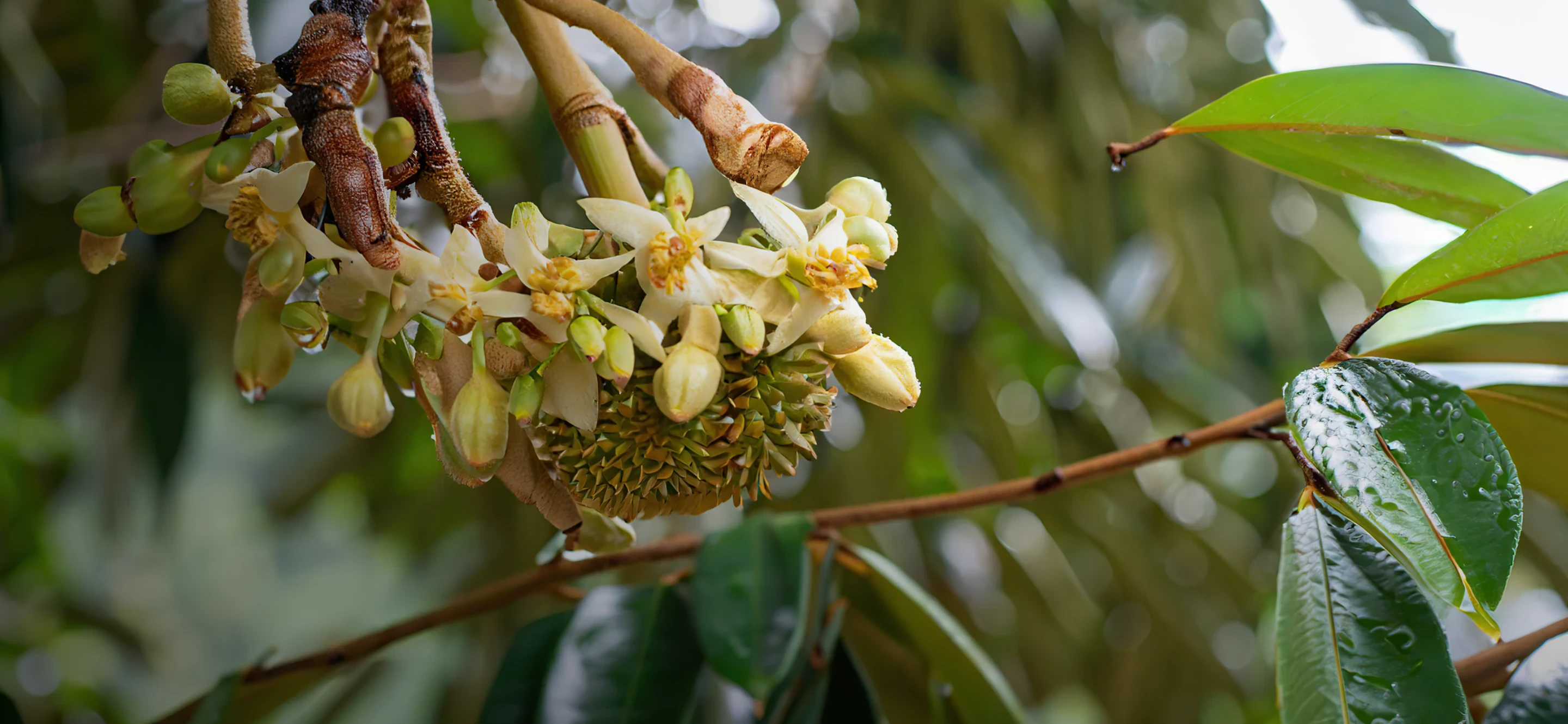 เรื่องราวของเรา