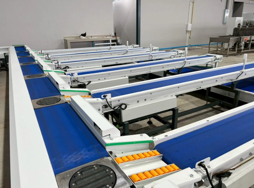 NTF ขานรับผลผลิตทุเรียนปี 2026 ชี้เป็น “โอกาสทอง” – ตอกย้ำจุดยืน “ผู้นำทุเรียนพรีเมียม” นำเข้านวัตกรรมเครื่องจักร “ล้าง-เป่า-คัด” เสริมแกร่งไลน์ผลิตรองรับตลาดจีน