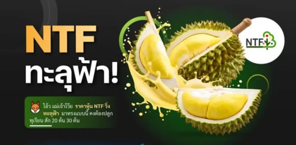 ราคาหุ้นNTF วิ่งทะลุฟ้า